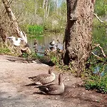 Sloneczna Przystan Kołobrzeg