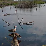 Sloneczna Przystan Διαμέρισμα *