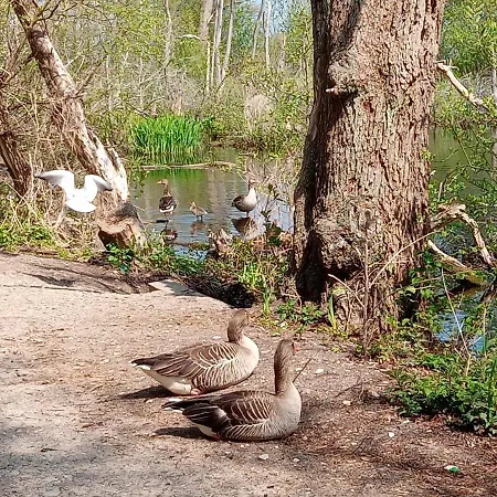 Sloneczna Przystan 科沃布热格