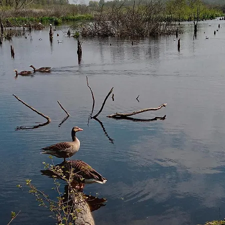 Sloneczna Przystan 公寓 *