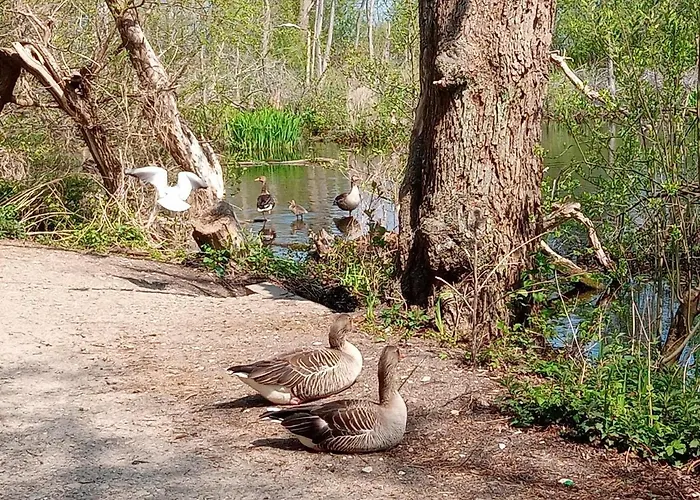 Sloneczna Przystan Kolobrzeg